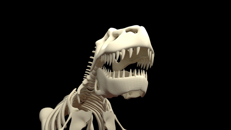 T-REX Dino TRex, Bones, Skeleton preview image 3